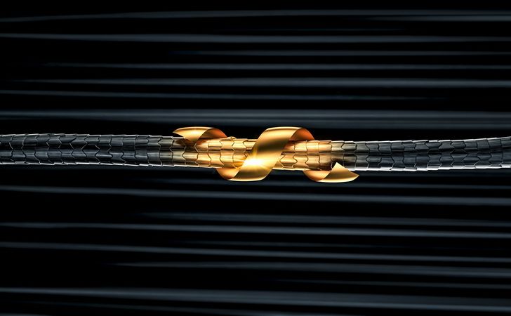 白髪染めとヘアカラーの違い